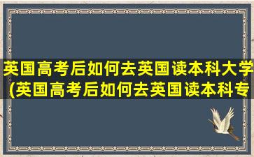 英国高考后如何去英国读本科大学(英国高考后如何去英国读本科专业)