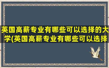 英国高薪专业有哪些可以选择的大学(英国高薪专业有哪些可以选择的学校)