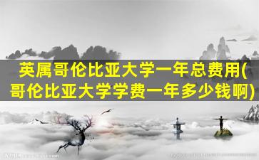 英属哥伦比亚大学一年总费用(哥伦比亚大学学费一年多少钱啊)