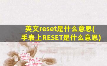 英文reset是什么意思(手表上RESET是什么意思)