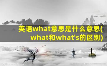 英语what意思是什么意思(what和what's的区别)