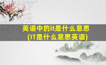 英语中的it是什么意思(IT是什么意思英语)