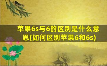 苹果6s与6的区别是什么意思(如何区别苹果6和6s)