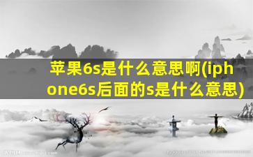 苹果6s是什么意思啊(iphone6s后面的s是什么意思)