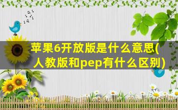 苹果6开放版是什么意思(人教版和pep有什么区别)