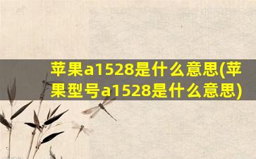 苹果a1528是什么意思(苹果型号a1528是什么意思)