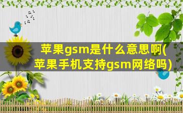 苹果gsm是什么意思啊(苹果手机支持gsm网络吗)