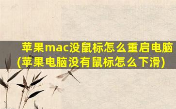 苹果mac没鼠标怎么重启电脑(苹果电脑没有鼠标怎么下滑)