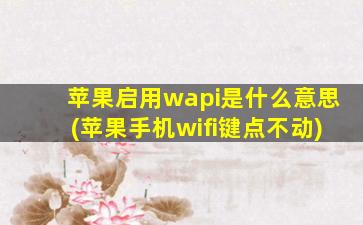 苹果启用wapi是什么意思(苹果手机wifi键点不动)