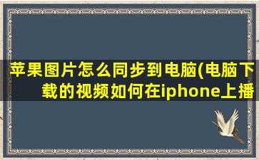 苹果图片怎么同步到电脑(电脑下载的视频如何在iphone上播放)