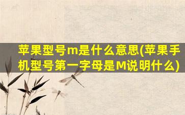 苹果型号m是什么意思(苹果手机型号第一字母是M说明什么)