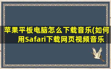 苹果平板电脑怎么下载音乐(如何用Safari下载网页视频音乐)