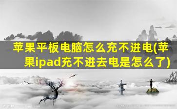 苹果平板电脑怎么充不进电(苹果ipad充不进去电是怎么了)