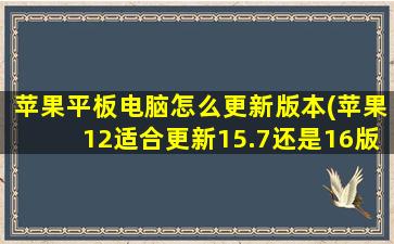 苹果平板电脑怎么更新版本(苹果12适合更新15.7还是16版本)