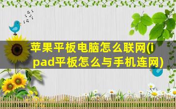 苹果平板电脑怎么联网(ipad平板怎么与手机连网)