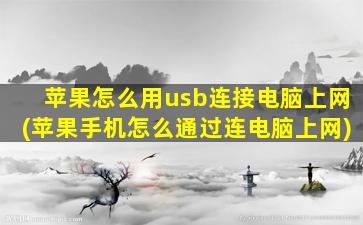 苹果怎么用usb连接电脑上网(苹果手机怎么通过连电脑上网)