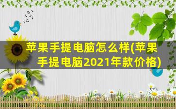 苹果手提电脑怎么样(苹果手提电脑2021年款价格)