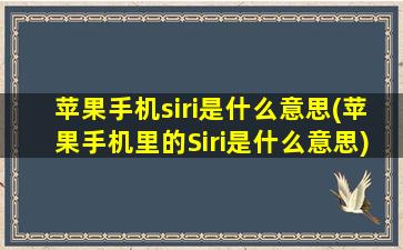 苹果手机siri是什么意思(苹果手机里的Siri是什么意思)