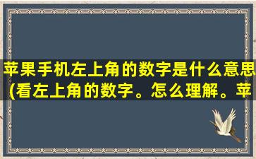 苹果手机左上角的数字是什么意思(看左上角的数字。怎么理解。苹果手机)