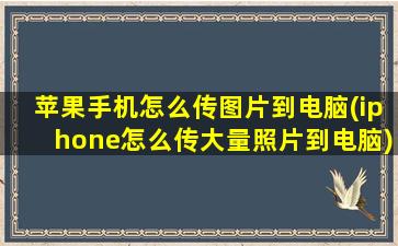 苹果手机怎么传图片到电脑(iphone怎么传大量照片到电脑)