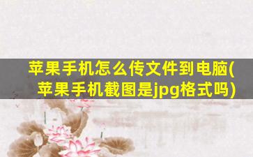 苹果手机怎么传文件到电脑(苹果手机截图是jpg格式吗)