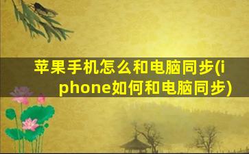 苹果手机怎么和电脑同步(iphone如何和电脑同步)