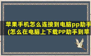 苹果手机怎么连接到电脑pp助手(怎么在电脑上下载PP助手到苹果手机)