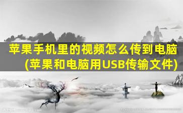 苹果手机里的视频怎么传到电脑(苹果和电脑用USB传输文件)