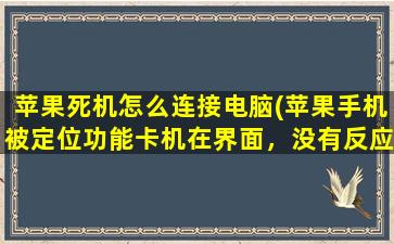 苹果死机怎么连接电脑(苹果手机被定位功能卡机在界面，没有反应，怎么解决)