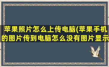 苹果照片怎么上传电脑(苹果手机的图片传到电脑怎么没有图片显示了)