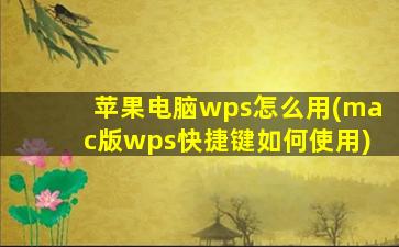 苹果电脑wps怎么用(mac版wps快捷键如何使用)