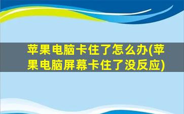 苹果电脑卡住了怎么办(苹果电脑屏幕卡住了没反应)