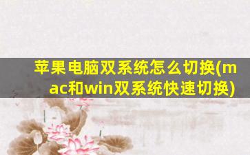 苹果电脑双系统怎么切换(mac和win双系统快速切换)