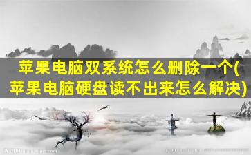 苹果电脑双系统怎么删除一个(苹果电脑硬盘读不出来怎么解决)