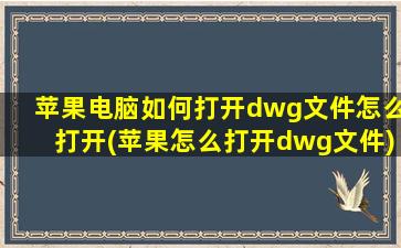 苹果电脑如何打开dwg文件怎么打开(苹果怎么打开dwg文件)