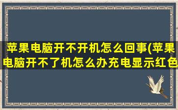 苹果电脑开不开机怎么回事(苹果电脑开不了机怎么办充电显示红色是在充电吗)