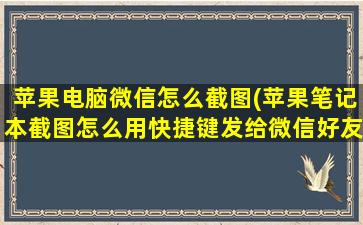 苹果电脑微信怎么截图(苹果笔记本截图怎么用快捷键发给微信好友)