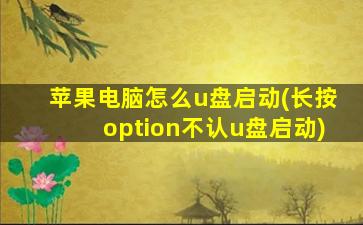 苹果电脑怎么u盘启动(长按option不认u盘启动)