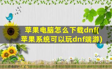 苹果电脑怎么下载dnf(苹果系统可以玩dnf端游)