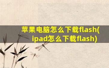 苹果电脑怎么下载flash(ipad怎么下载flash)