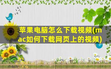 苹果电脑怎么下载视频(mac如何下载网页上的视频)