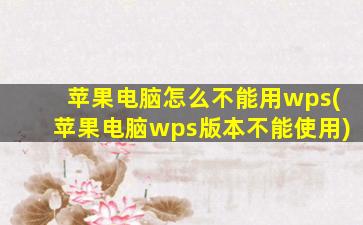 苹果电脑怎么不能用wps(苹果电脑wps版本不能使用)