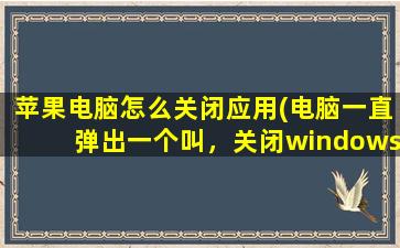 苹果电脑怎么关闭应用(电脑一直弹出一个叫，关闭windows的程序，我该怎么做。一直闪)