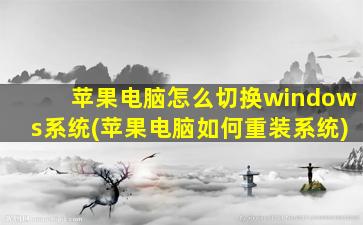 苹果电脑怎么切换windows系统(苹果电脑如何重装系统)