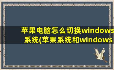 苹果电脑怎么切换windows系统(苹果系统和windows系统怎么切换)