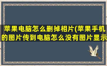 苹果电脑怎么删掉相片(苹果手机的图片传到电脑怎么没有图片显示了)