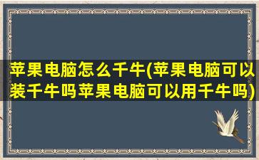 苹果电脑怎么千牛(苹果电脑可以装千牛吗苹果电脑可以用千牛吗)