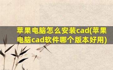 苹果电脑怎么安装cad(苹果电脑cad软件哪个版本好用)