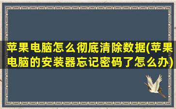 苹果电脑怎么彻底清除数据(苹果电脑的安装器忘记密码了怎么办)