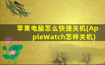 苹果电脑怎么快捷关机(AppleWatch怎样关机)